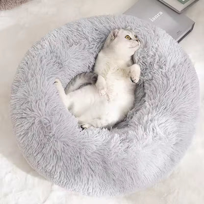 The Cozy Bed