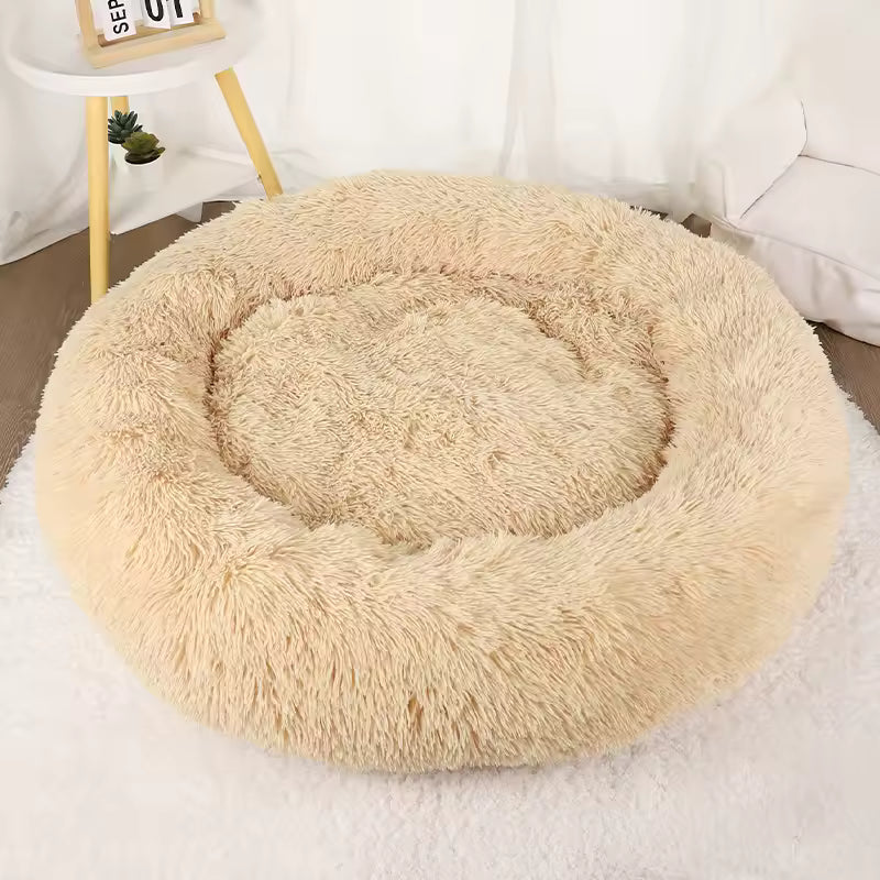 The Cozy Bed