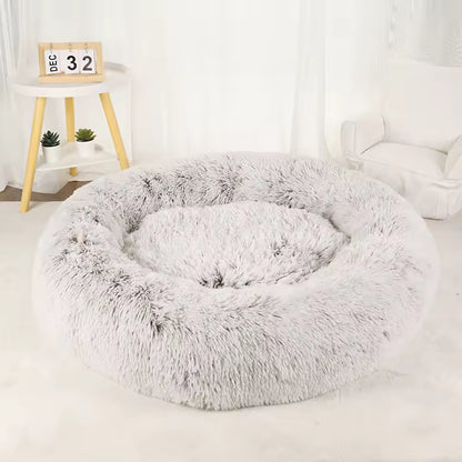 The Cozy Bed