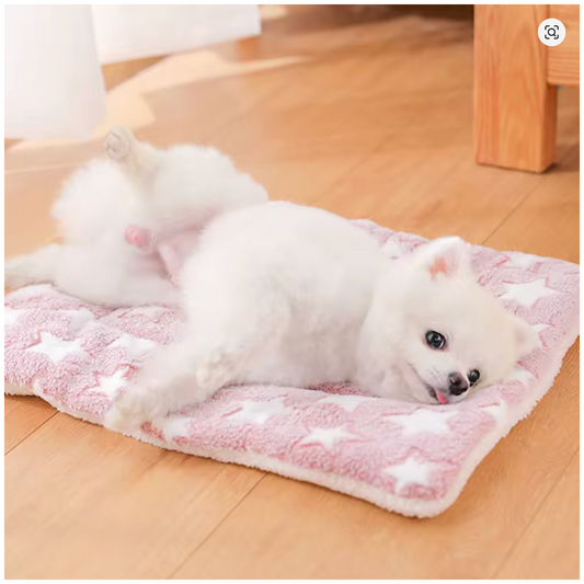 The CozyCloud Calming Bed