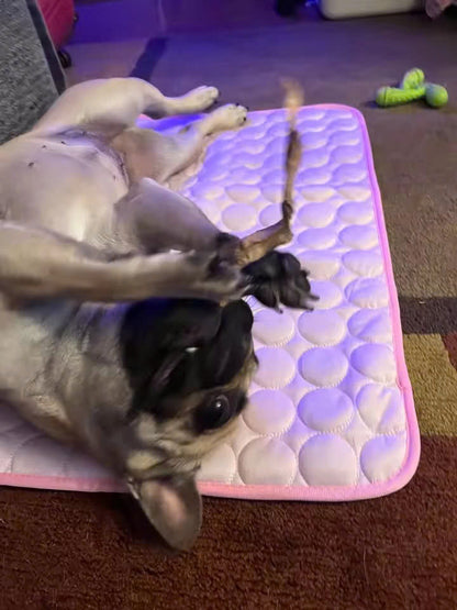 The Cozy Chill Cooling Mat